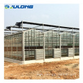 Low Cost Tunnel Greenhouse Farm for Sale